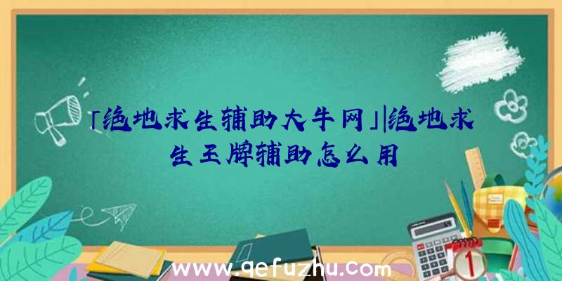 「绝地求生辅助大牛网」|绝地求生王牌辅助怎么用